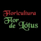 FLORICULTURA FLOR DE LÓTUS