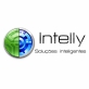 INTELLY SOLUÇÕES INTELIGENTE